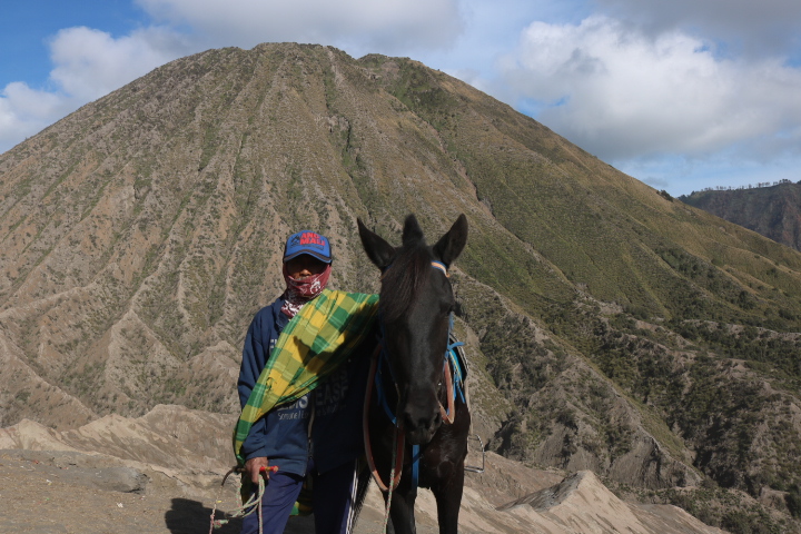 Volcan Bromo Cheval